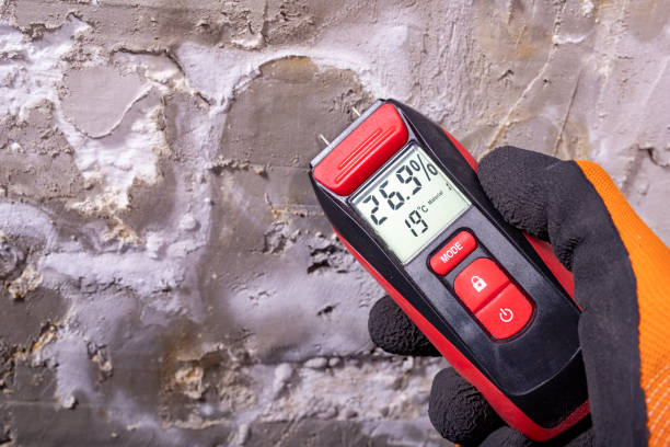 Best HVAC Mold Remediation in Cole Camp, MO